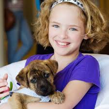 Maybe you would like to learn more about one of these? Stray Rescue Of St Louis Home