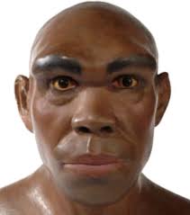 He is appealing the conviction. First Early Human Fossil Found In Africa Makes Debut The Archaeology News Network
