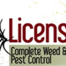 Find pest control services in tucson, az for home & commercial pest control, bug and animal removal, ant control, termite inspections and treatment when experiencing the marvels and charms of tucson, arizona, be prepared for some dizzying heights, as the rugged mountains, most notably mt. The 10 Best Pest Control Companies In Mesa Az With Free Quotes