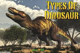 discover the different types of dinosaurs with pictures facts