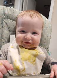 Introducing meat to 8 month old baby?