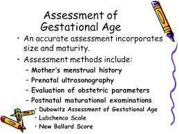 Assessment Of Gestational Age Ppt Video Online Download