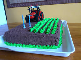 A7dc44e69ac619806e9fa9630869f2ce Jpg 3264 2448 Kindergeburtstagstorte Kuchen Kindergeburtstag Traktor Kuchen