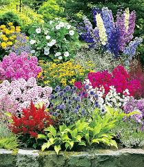 Buntes Staudenbeet Multi Colour Top Pflanzen Online Kaufen Baldur Garten In 2020 Staudenbeet Schoner Blumengarten Pflanzen