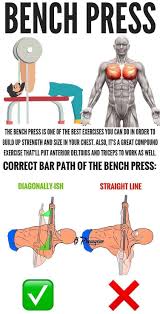 The pectoralis minor is found underneath the pectoralis major. Barbell Bench Press Chest Press Bench Press Exercise Chest Workouts