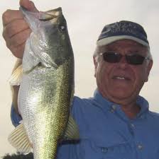 Profile for Mike Selig and Associates Inc