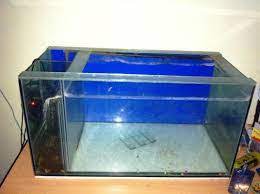Pada postingan saya kali ini akan membahas jenis batu aquascape dan harga batu aquascape. Cara Membuat Filter Aquarium Samping Yang Paling Bagus Bikin Jernih
