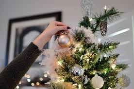 Origins Of Christmas Trees Rekord East