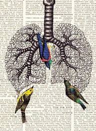 Hope Is A Thing With Feathers May Is Cystic Fibrosis Awareness Month Want To Help Start A Cf Pinterest Board Pin Something Cf Lungs Art Book Art Art