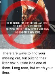 The study confirmed that lost indoor cats travelled shorter distances compared to however, a physical search is still considered the fastest and most effective means on how to find your missing outdoor cat. Every Day I See A Post About A Lost Cat Berkeley S Place Facebook