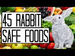 You can cook melting potatoes (fondant) using 6 ingredients and 5 steps. Can Rabbits Eat Apples Lettuce Pears Onions Green Peppers Peanut Butter Watermelon Rinds Wheat Rabbit Eating Can Rabbits Eat Apples Can Dogs Eat Oranges