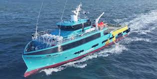 Image result for Tan 2023 Fleet