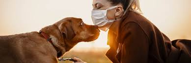 Die eigene wohnung durfte in dieser zeit nur aus triftigen gründen verlassen werden, etwa zu beruflichen zwecken oder, um mit dem hund gassi zu gehen. Landfuxx Willert Gassi Gehen In Zeiten Von Corona