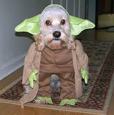 If we haven't earned that rating, please contact us; Bau Star Wars Tutti I Personaggi Della Saga Marchiotto Shop Personaggi Immagini Divertenti Animali