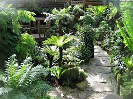 There Should Be A Little Corner Somewhere In Your Garden For A Fernery Landscaping Water Feature Landscape Design Traditional Landscape