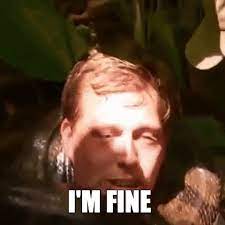 Nu gaat het weer goed met hem, maar het was een heftige beet. Freek Vonk Gifs Get The Best Gif On Giphy