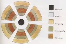 Be sure to give yourself room to walk! How To Grow An Herb Garden Tips And Guidelines Howstuffworks