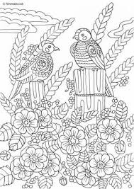 Country Spring Spring Birds Spring Coloring Pages Bird Coloring Pages Unicorn Coloring Pages