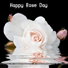 Home birthday quotes 150+ best birthday wishes and messages. Rose Day Happy Valentines Day Best Friend Happy Valentines Day Greetings Happy Valentines Day Messages Happy Valentines Day Gifts Happy Valentines Day Wallpapers Valentines Day Sms