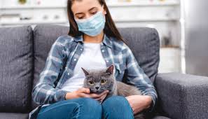Topical solutions provide limited relief. Can You Be Allergic To One Cat And Not Another Rehome By Adopt A Pet Com
