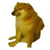  Https Encrypted Tbn0 Gstatic Com Images Q Tbn And9gct9o7mdnyhahy B8cql2y8vlamjxohfni4wneogym7becgdgiyz Usqp Cau