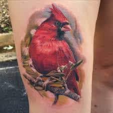 We did not find results for: What Does Cardinal Tattoo Mean Represent Symbolism