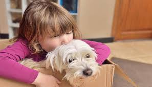 Maybe you would like to learn more about one of these? Moving With Pets Across Country Tips Tricks Costs More