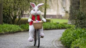 Easter Bunny Riding a Bicycle with Basket of Eggs with Copy ...