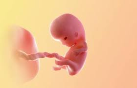 Learn more about symptoms and what to expect at 9 weeks with babycenter. Feel Your Baby Move At 9 Weeks In Second Pregnancy Babygo