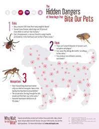 Dog Owners Bark About Bug Bites Bug Bites Dog Owners Dogs