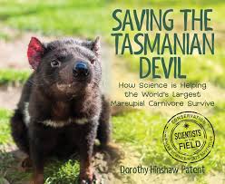 Sometimes even in our suburbs! Saving The Tasmanian Devil How Science Is Helping The World S Largest Marsupial Carnivore Survive Scientists In The Field Series Amazon De Patent Dorothy Hinshaw Fremdsprachige Bucher