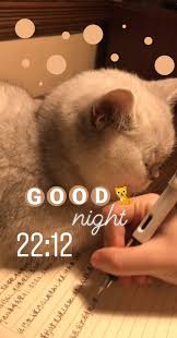 Good Night Instagram Istoriya Fotografii Vdohnovlyayushie Istorii