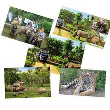 حديقة حيوانات bali safari bali school activities activities