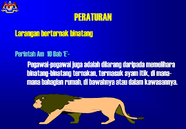 Archive for the 'perintah am bab a' category. Perintah Am Bab E Rumah Dan Bangunan Pejabat Kerajaan Ppt Download