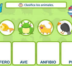 Alimentos de origen animal y el lugar de los animales de vida. Juego Interactivo Para Clasificar Animales Animal