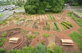 The Umass Permaculture Initiative With Help From Student And Local Volunteers Embarked Permaculture Gardening Permaculture Design Permaculture Design Course
