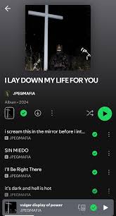 Off topic but what do you think about The new jpegmafia album? :  rKendrickLamar