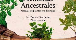 Las hierbas selectas pueden crecer excepcionalmente bien en interiores o exteriores, en contenedores o en el suelo, todo depende de lo que desea hacer. Libros Para Descargar Manual Diaguita De Plantas Medicinales V3 Pdf