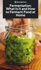 Image result for Home Cooking Fermentation