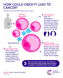 Pin Di Helomics Su Obesity