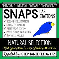This lab models natural selection by using familiar tools to represent different bird beaks and using toothpicks and macaroni to represent food. Ms Ls4 6 Natural Selection Lab Stations Activity Printable Digital