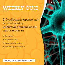 Weekly Quiz Vi In 2020 Quiz Generalizations Psychology