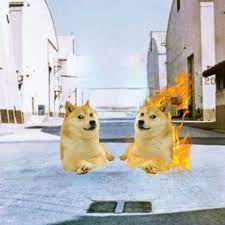 Find this ultimate set of doge meme wallpapers backgrounds, with 46 doge meme wallpapers wallpaper illustrations for for tablets, phones and desktops, absolutely for free. Le Wish You Were Doge Had Arrived R Dogelore Ironic Doge Memes Know Your Meme