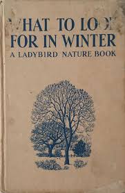 Vintage Ladybird Book What To Look For In Winter Ladybird Books Book Design Ladybird