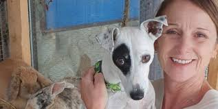 Tierkommunikatoren Archives