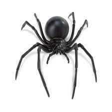 Learn more about the black widow spider and where they are most commonly found. Toy Black Widow Spider Insect Toy Safari Ltd
