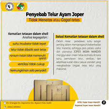 Check spelling or type a new query. Terjadinya Kegagalan Dalam Kemitraan Ayam Joper Facebook