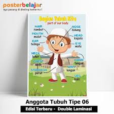 Gambar hidung untuk anak paud. Jual Tipe 06 Poster Anggota Tubuh Anak Muslim Laki Laki Untuk Paud Tk Sd Di Lapak Grosir Poster Belajar Bukalapak