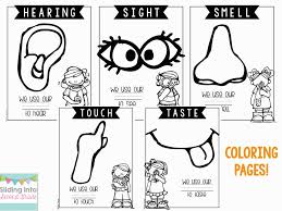 See more ideas about coloring pages, pumpkin coloring pages, fall coloring pages. Spectacular Coloring Pages 5 Little Pumpkins Coloring Page Coloring Home