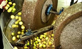 Le Matin Trituration D Olives Des Unites Interdites D Exercer A Taounate
